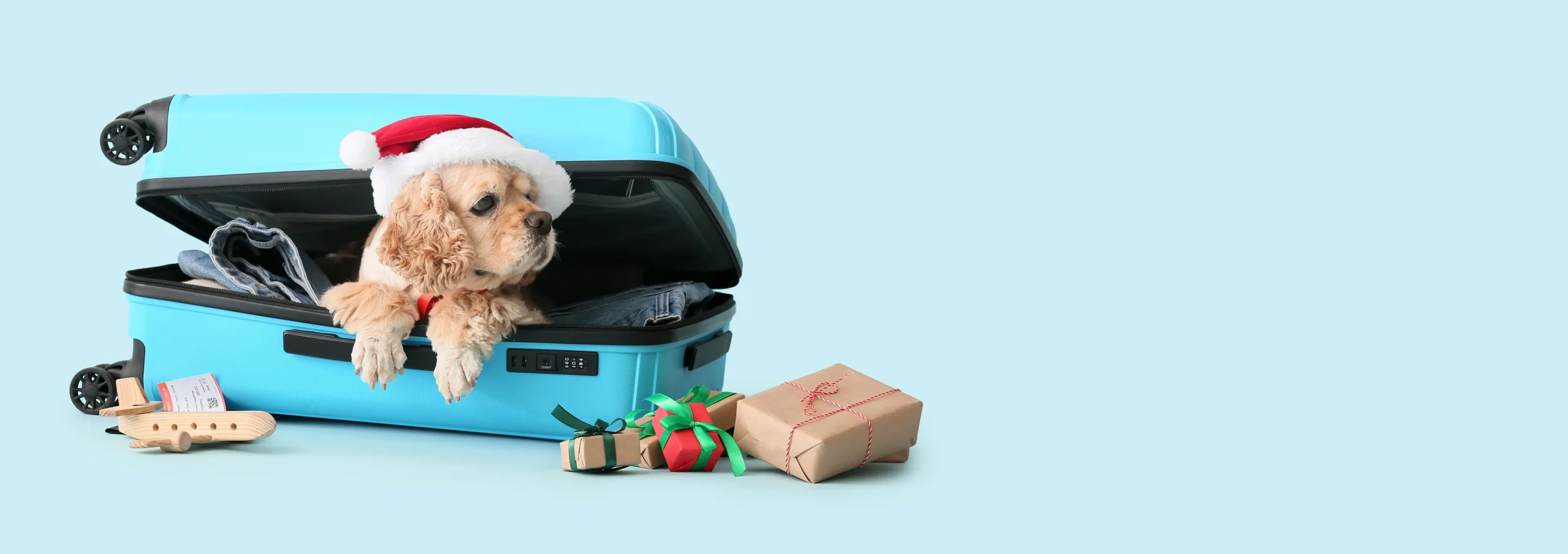 How Early Should You Book Holiday Pet Boarding in Panama City